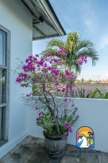 Villa Eva - By Unicorn Villas Bali Uluwatu  Luaran gambar